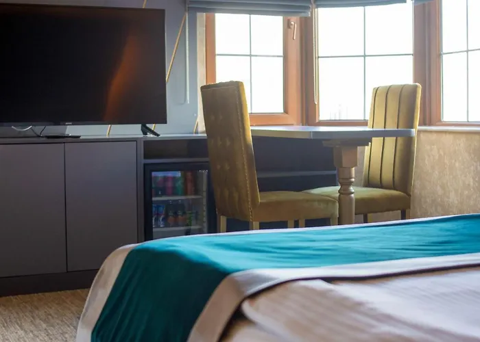 The Life & 安卡拉