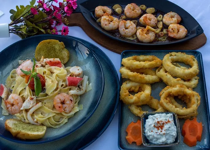 The Life & فندق أنقرة